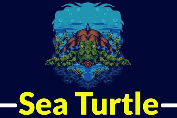 Sea Turtle APT Group Exploiting Known Vulnerabilities to Attack IT-service Providers