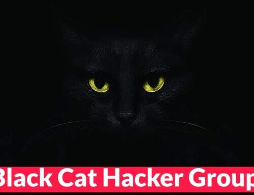 Black Cat Hacker Group with Fake Notepad++ Sites Install Malware to Steal Data