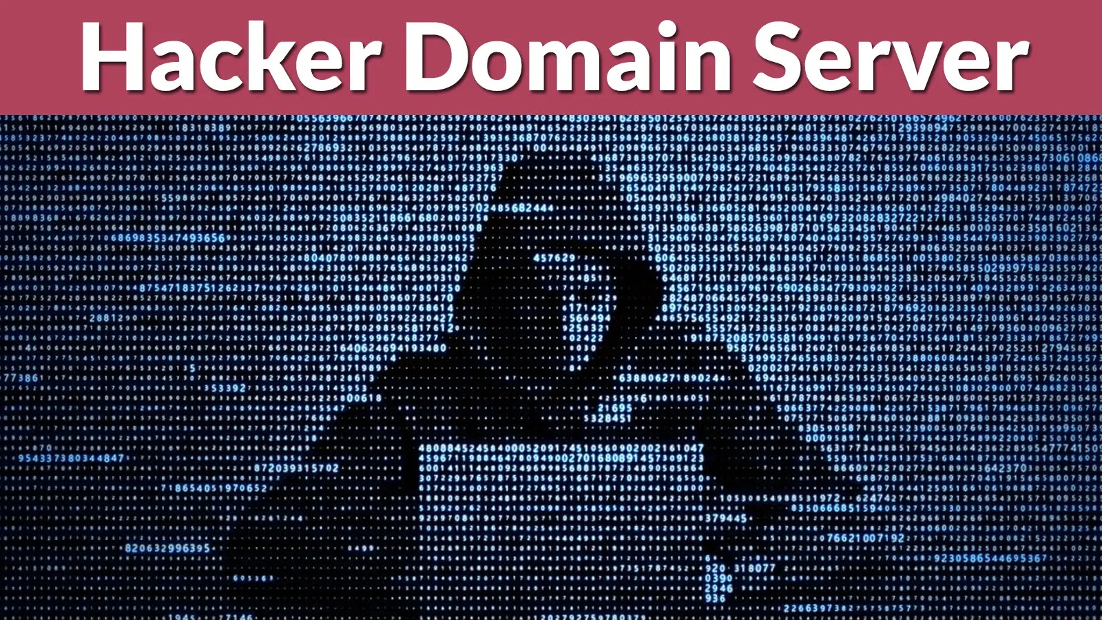 A shadowy figure in a hoodie is shown behind a screen filled with numbers and code. The text at the top reads “Hacker Domain Server.”.