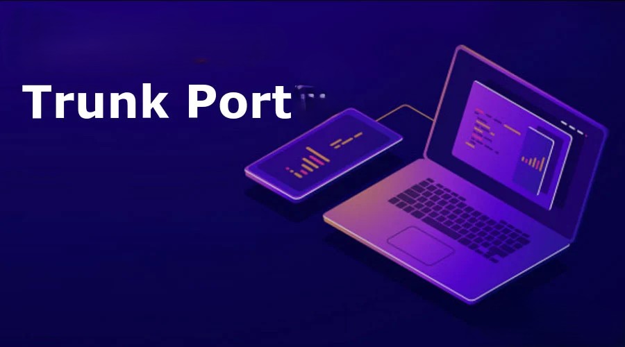What-is-a-Trunk-Port2