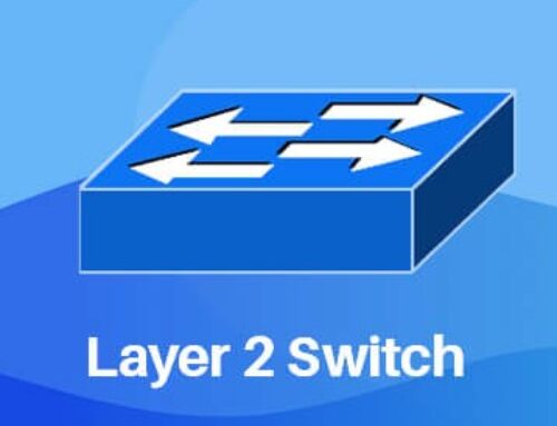 Layer 2 Switching in Virtualized Environments