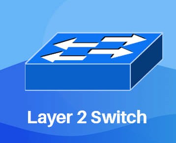 layer-2 switch1