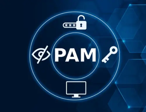 Privileged Access Governance for SaaS Vendors and MSPs