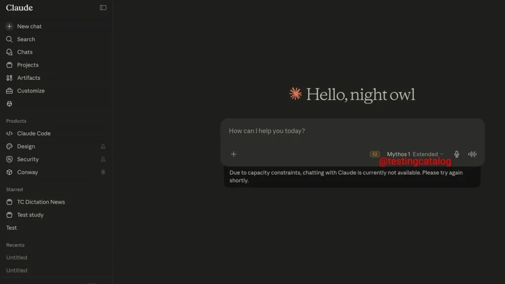 A dark-themed dashboard with a greeting Hello, night owl in the center. A chat window below displays a message saying chat is unavailable due to capacity constraints. Menu options are listed on the left side.
