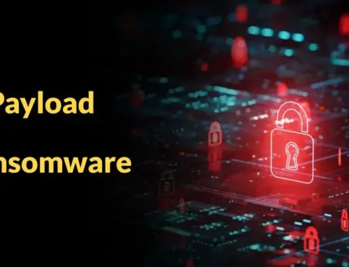 Payload Ransomware Uses ChaCha20 and Curve25519 ECDH to Encrypt Windows Files